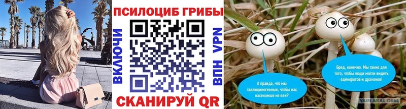 hydra маркетплейс  Гдов  Псилоцибиновые грибы Psilocybe  как найти закладки 